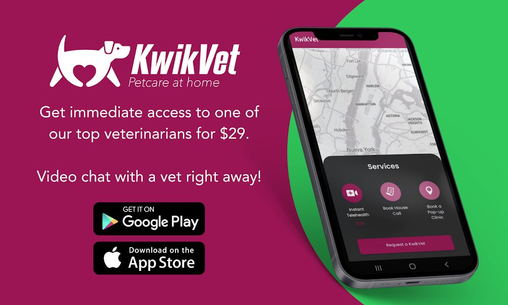 KwikVet – 24 hour veterinarians