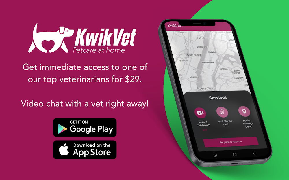 KwikVet – 24 hour veterinarians