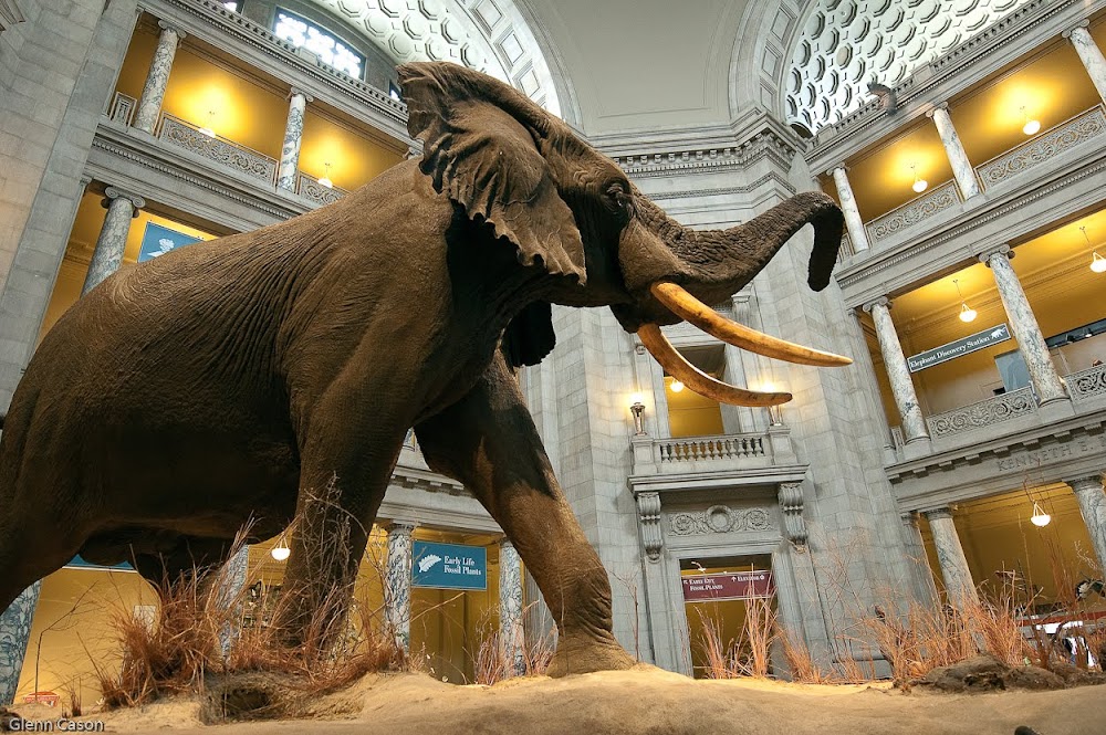 Smithsonian National Museum of Natural History